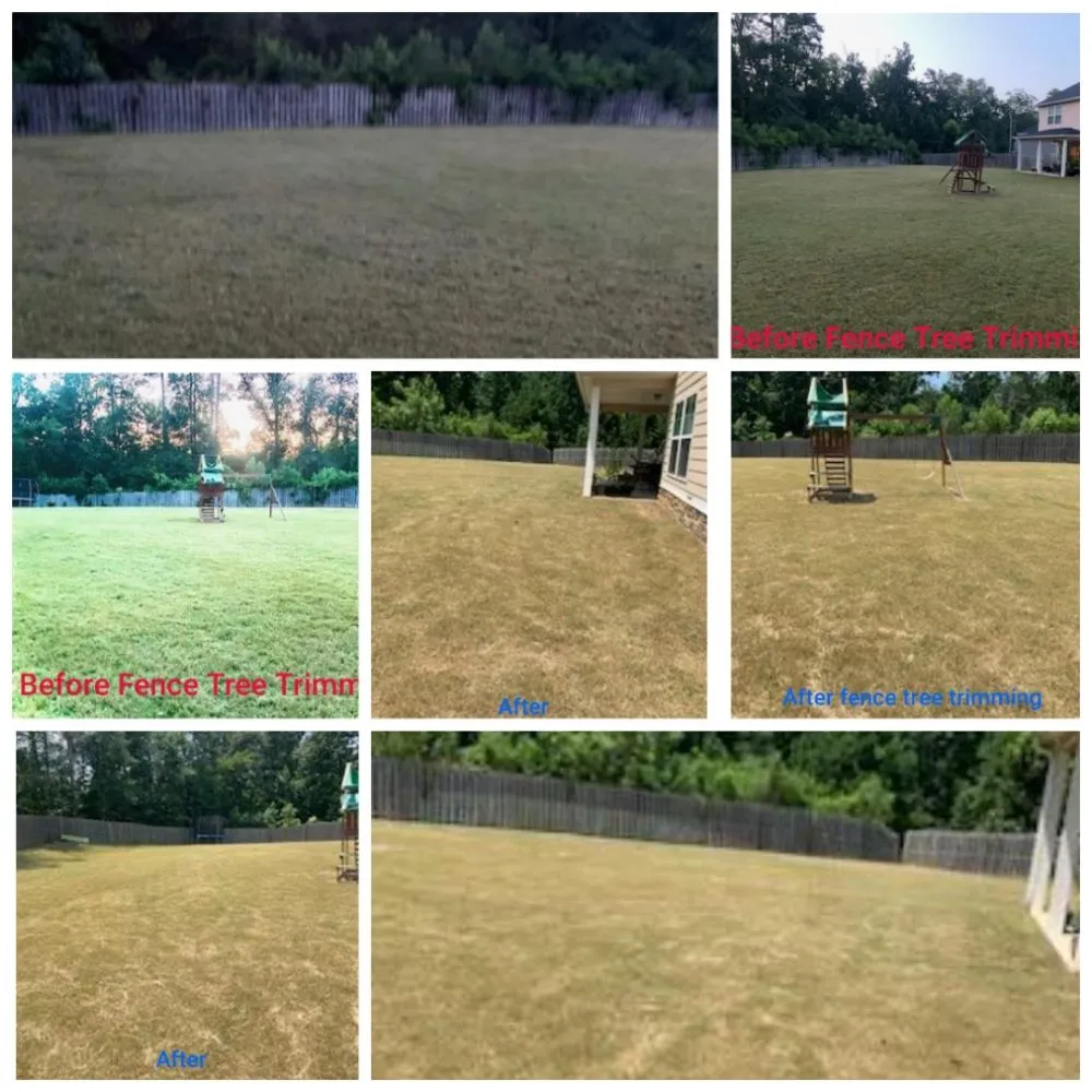 Custom lawn mowing service for year-round maintenance in Grovetown, GA by We Care Lawn Care