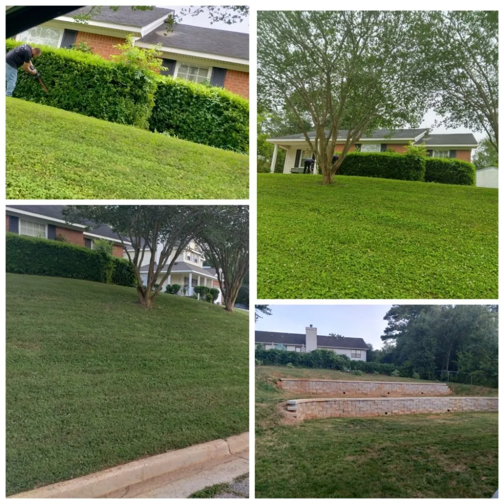 Local outdoor landscaping experts serving Grovetown, GA - We Care Lawn Care