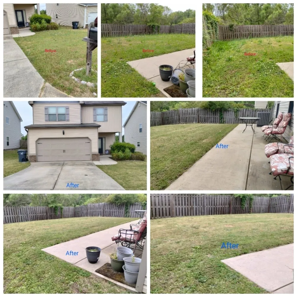 Expert landscape installation for year-round maintenance in Grovetown, GA by We Care Lawn Care
