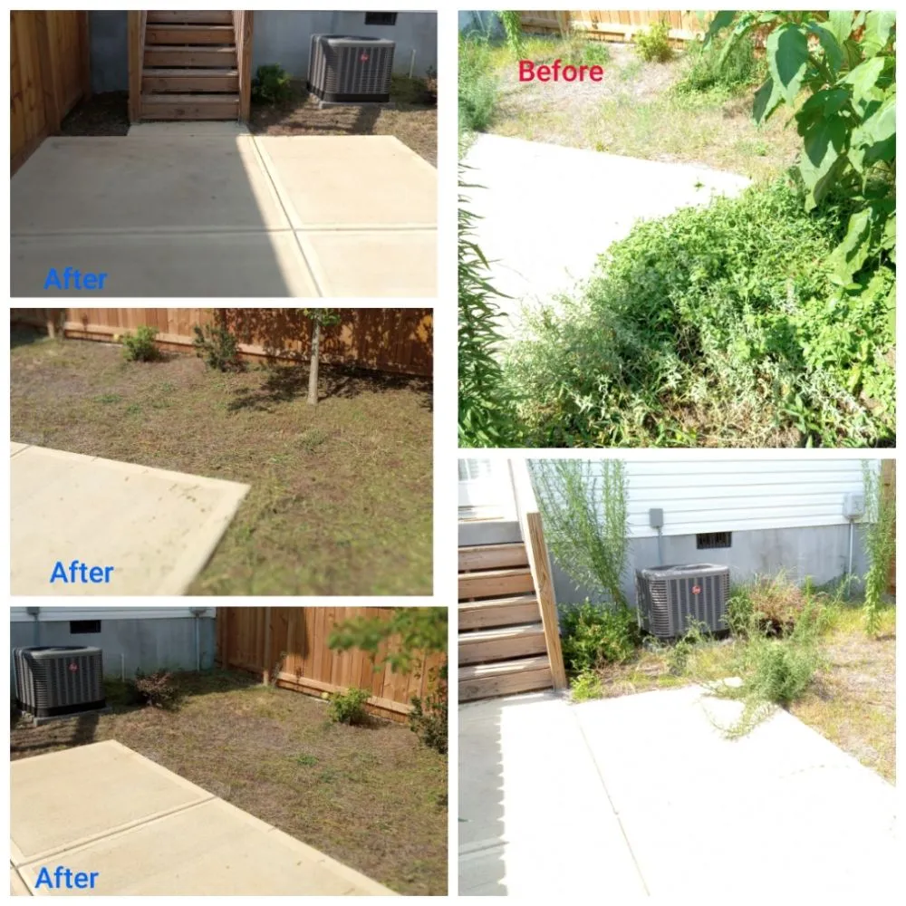Expert yard cleanup service for residential properties in Grovetown, GA by We Care Lawn Care
