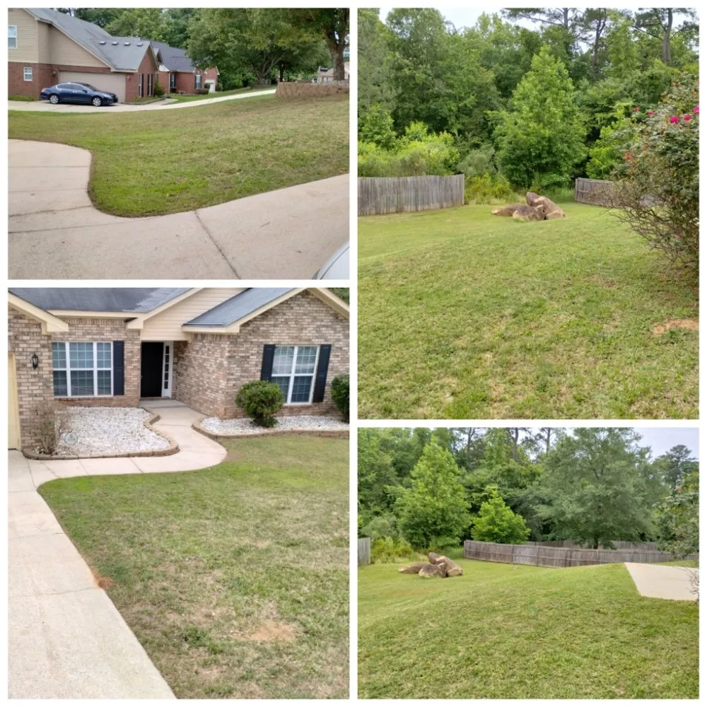 Affordable yard maintenance with custom design across Grovetown, GA - We Care Lawn Care