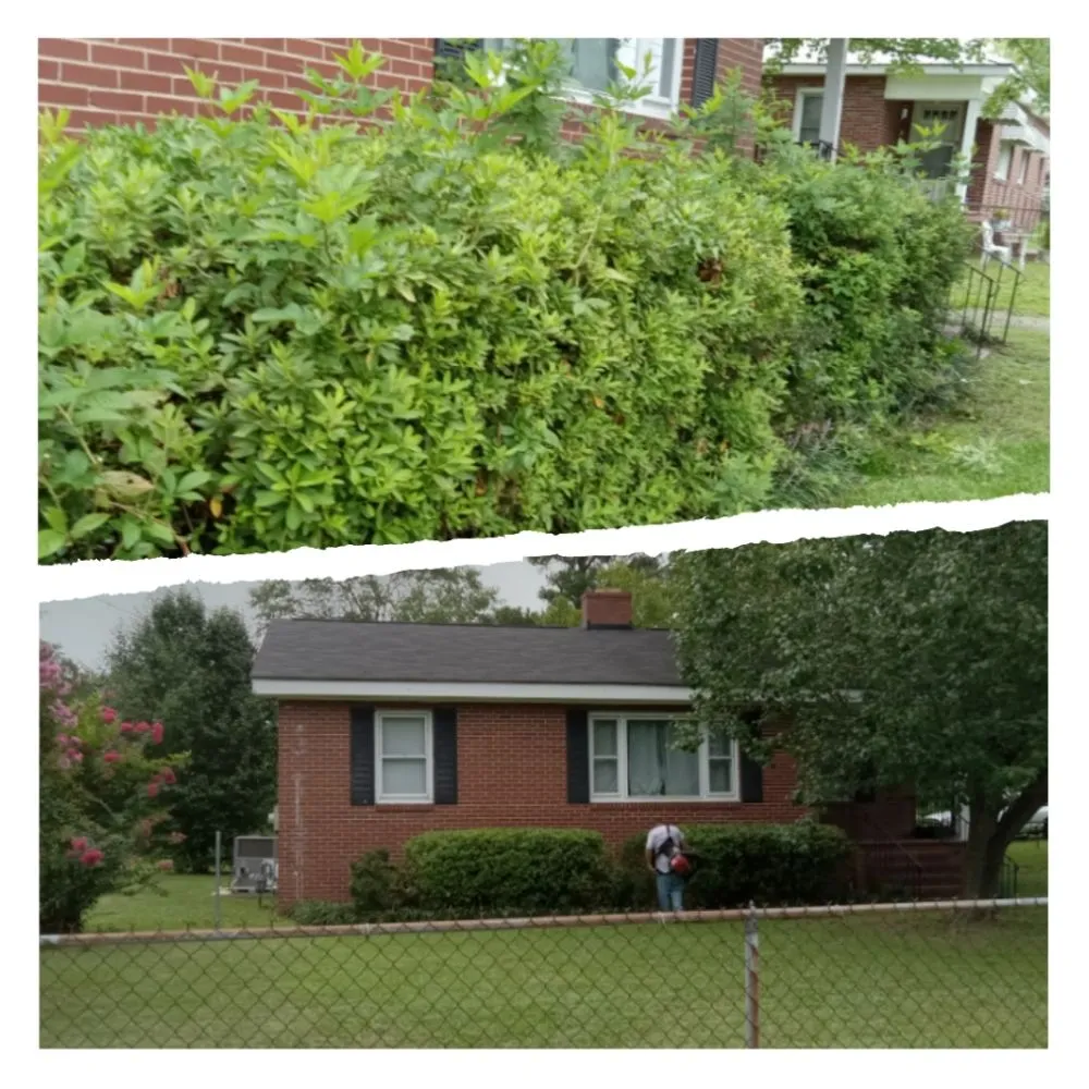 Professional outdoor landscaping for year-round maintenance across Grovetown, GA - We Care Lawn Care