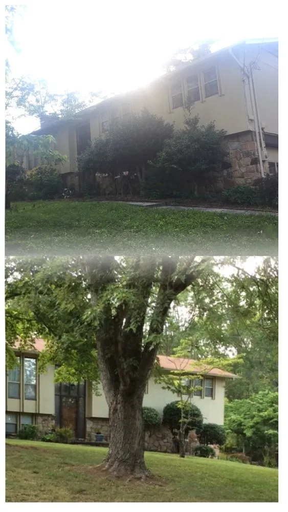 Top-rated landscaping services in Knoxville, TN by We Care Lawn Care