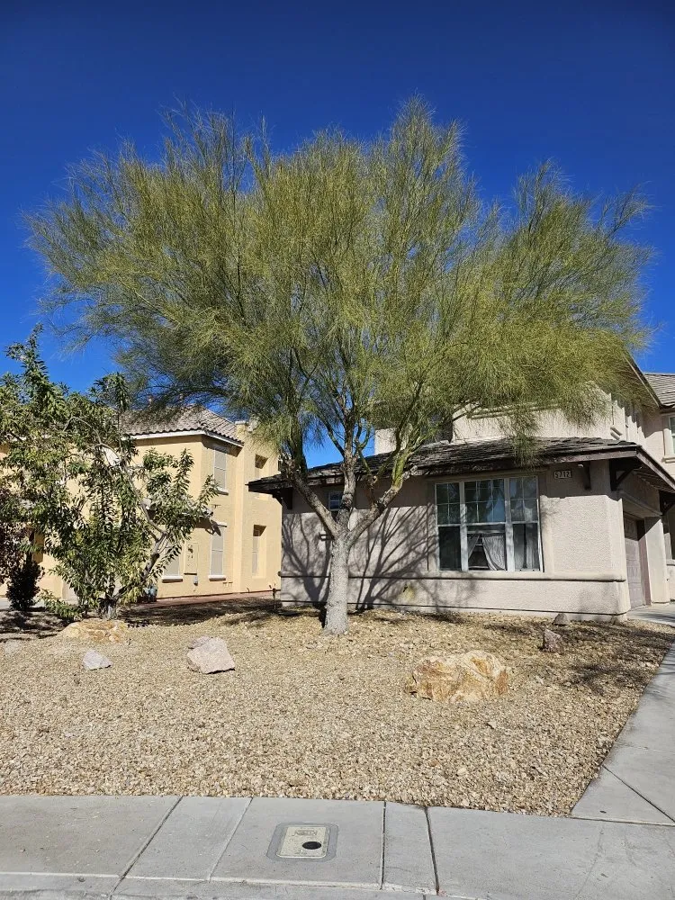 Local lawn care service in LAS VEGAS, NV - We Care Lawn Care