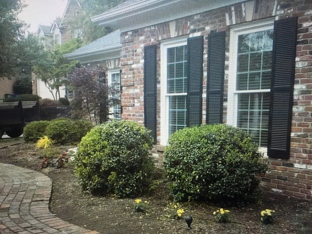 Top-rated lawn care service for outdoor upgrades in Lexington, KY by We Care Lawn Care