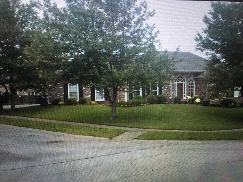 Reliable yard cleanup service with custom design in Lexington, KY by We Care Lawn Care