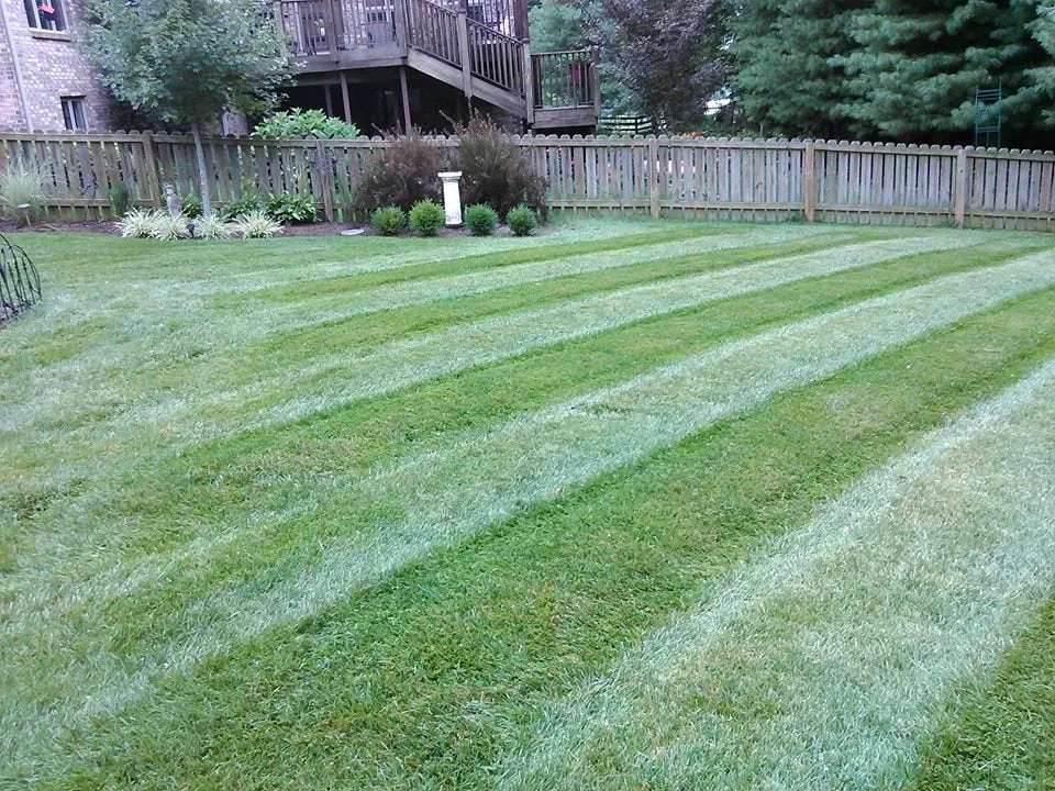 Custom garden landscaping in Lexington, KY - We Care Lawn Care