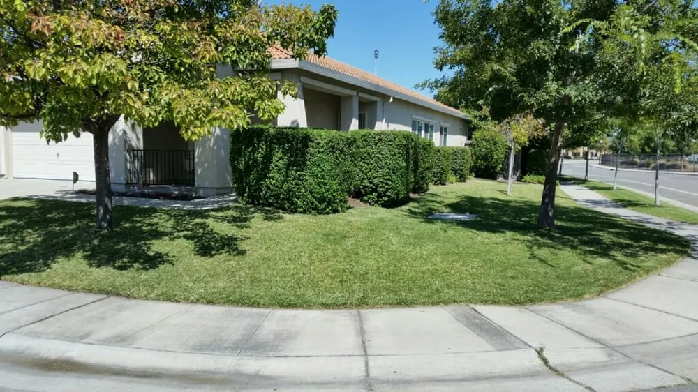 Professional landscape installation experts serving Sacramento, CA - We Care Lawn Care