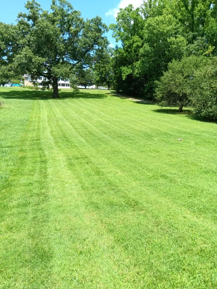 Reliable yard maintenance in Johnson City, TN by We Care Lawncare