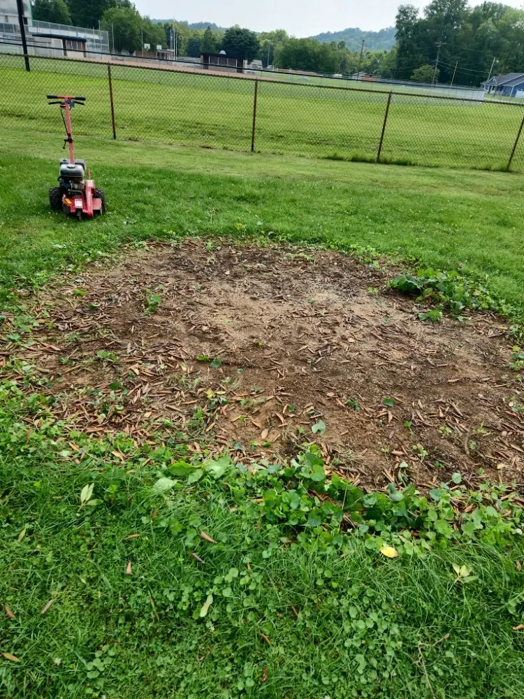 Trusted residential landscaping for outdoor upgrades across Greenup, KY - We Care Tree Care