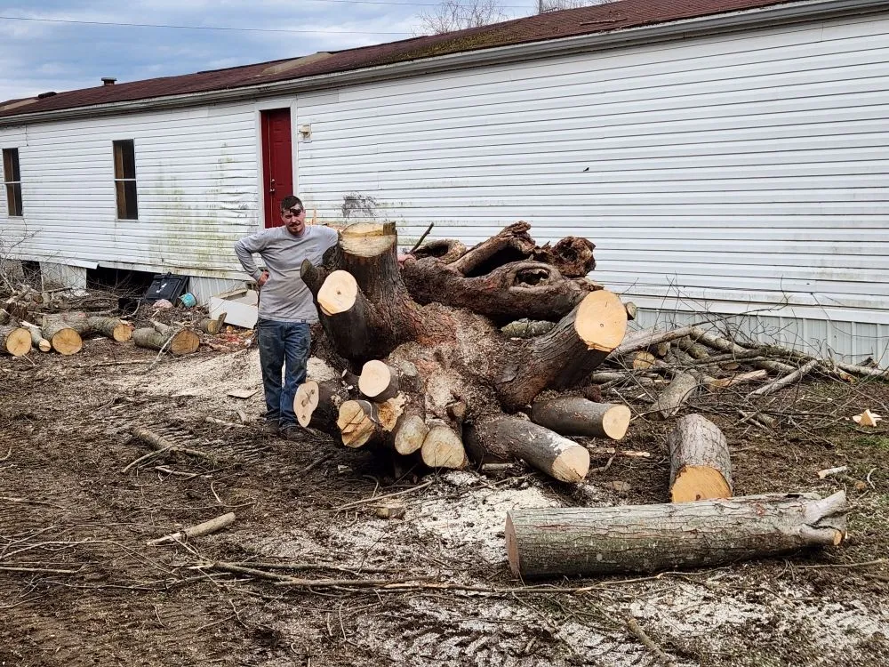 Local landscaping services for residential properties in Greenup, KY by We Care Tree Care