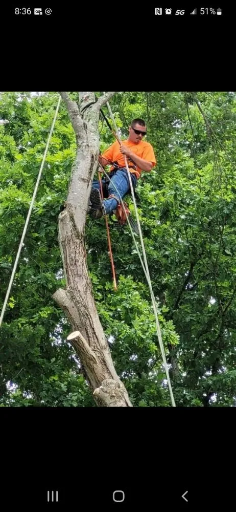 Custom residential landscaping for residential properties in Greenup, KY by We Care Tree Care