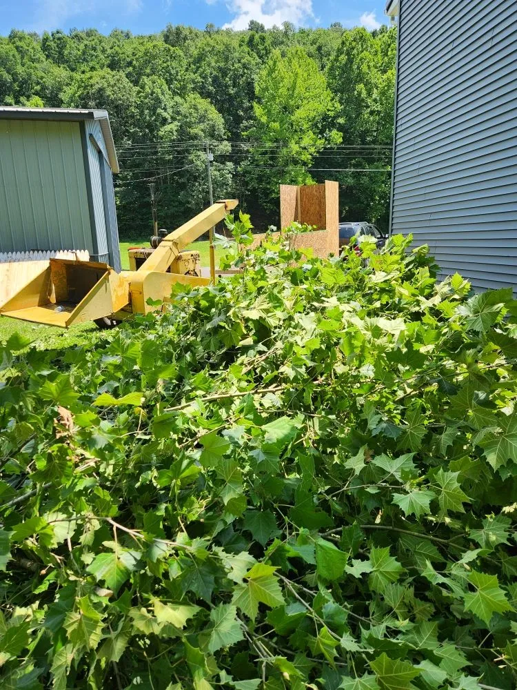 Top-rated landscape installation for beautiful yards in Greenup, KY by We Care Tree Care