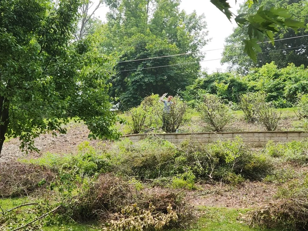 Custom outdoor landscaping in Greenup, KY - We Care Tree Care