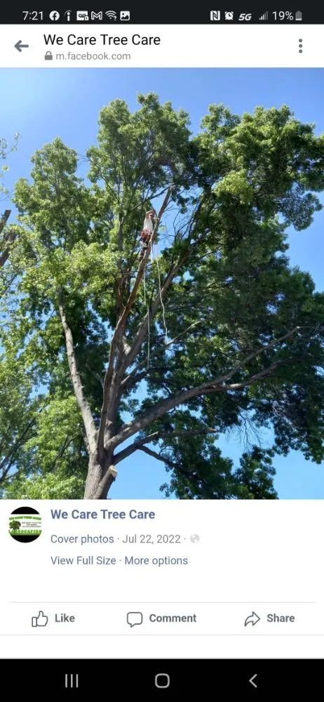 Professional lawn care service for homes in Greenup, KY by We Care Tree Care