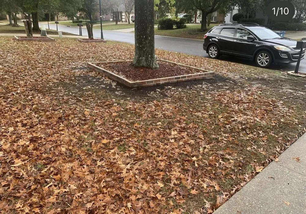 Professional outdoor landscaping for beautiful yards across Baton Rouge, LA - We Come 2 U Landscape Care