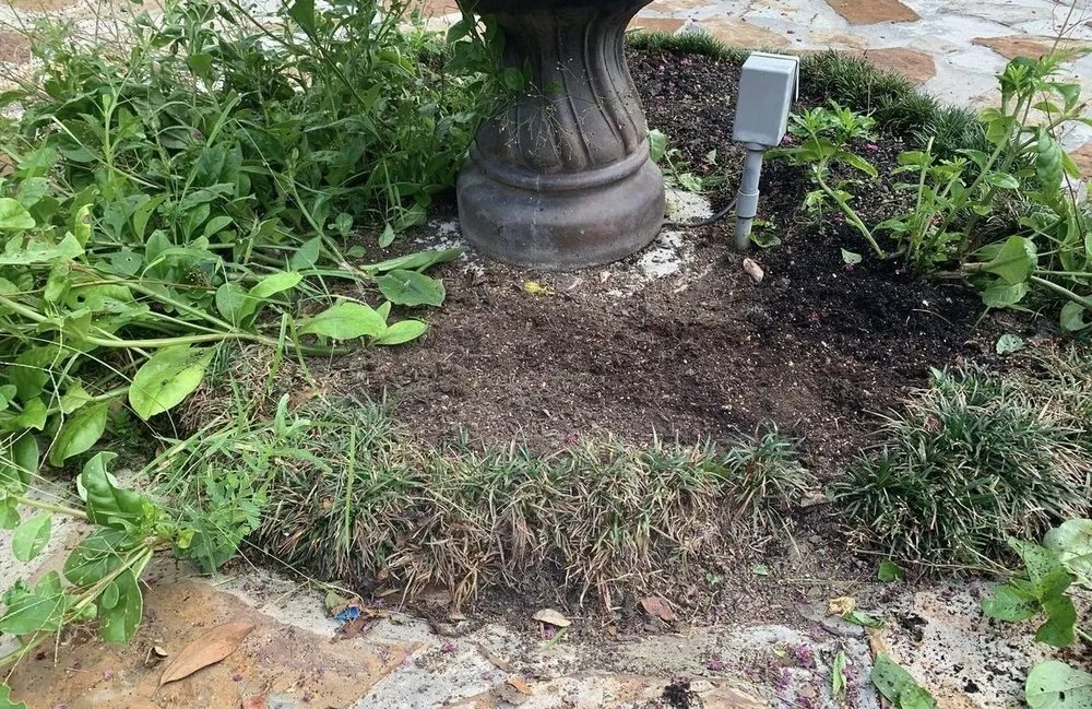 Local landscaping services experts serving Baton Rouge, LA - We Come 2 U Landscape Care