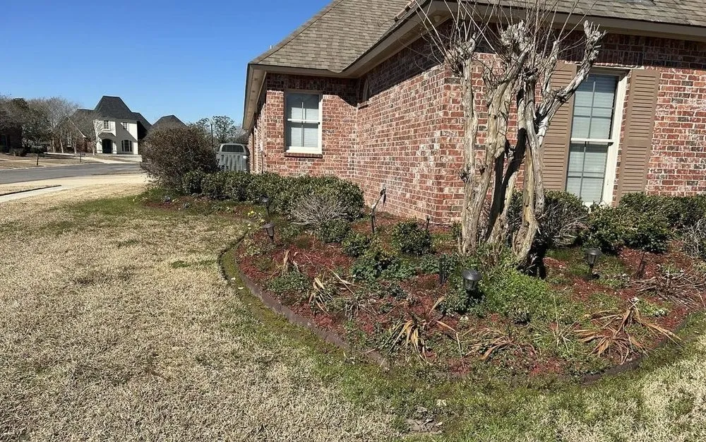Reliable yard cleanup service in Baton Rouge, LA by We Come 2 U Landscape Care