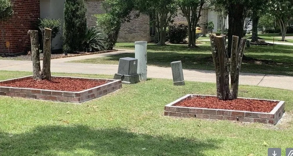 Expert yard cleanup service for homes in Baton Rouge, LA by We Come 2 U Landscape Care