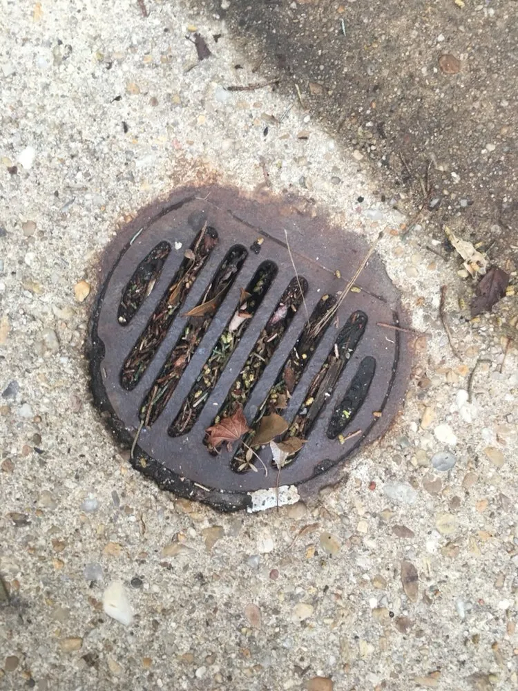 Local residential landscaping near you in Fort Washington, MD by We Come To Fix It