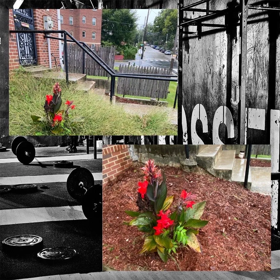 Reliable residential landscaping in Fort Washington, MD by We Come To Fix It