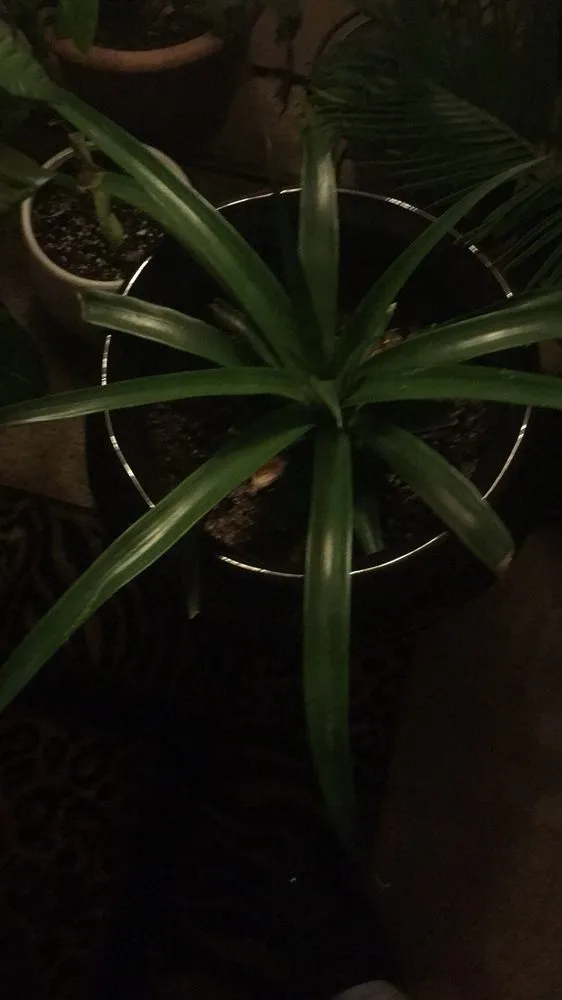 Custom landscape installation with custom design in Fort Washington, MD by We Come To Fix It