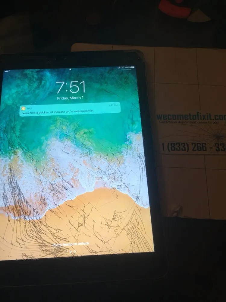 Professional lawn care service in Fort Washington, MD - We Come To Fix It