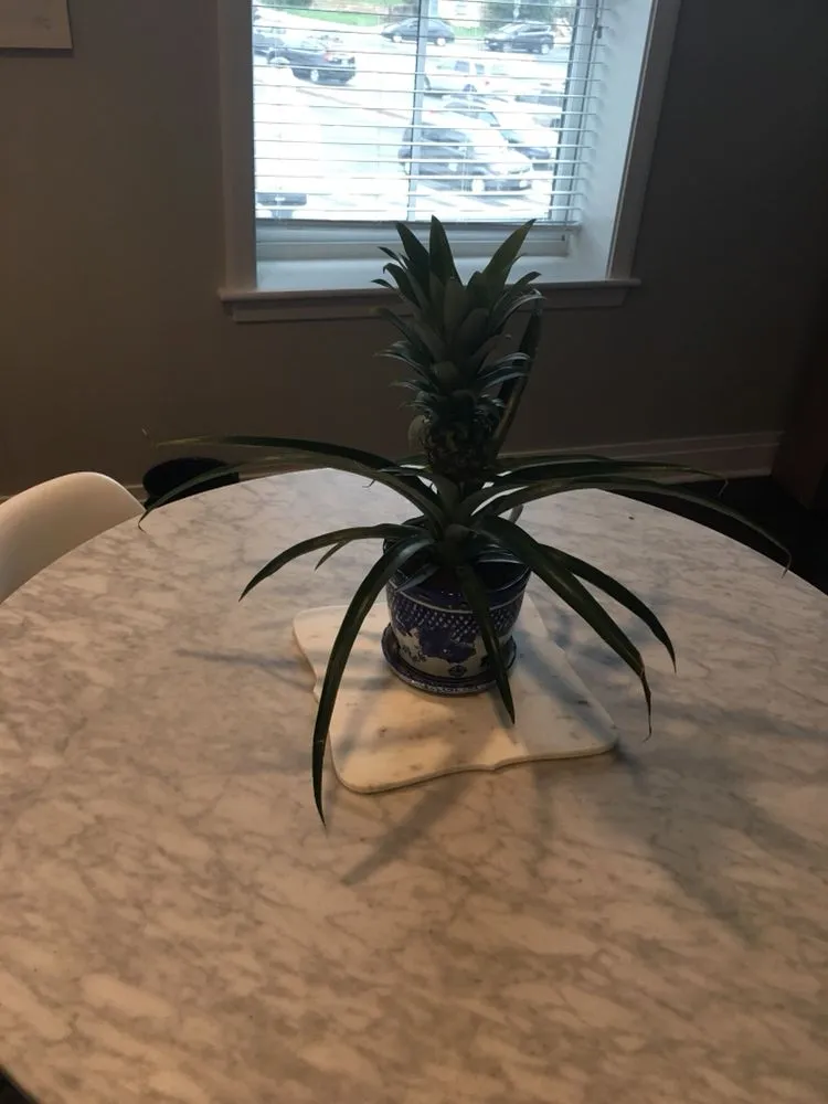 Professional landscape design near you across Fort Washington, MD - We Come To Fix It