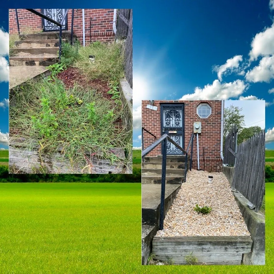 Custom yard cleanup service experts serving Fort Washington, MD - We Come To Fix It