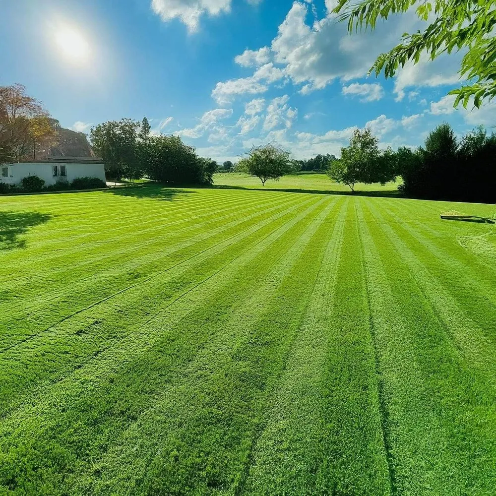 Expert landscaping services in Grayson, KY - We Cut Grass