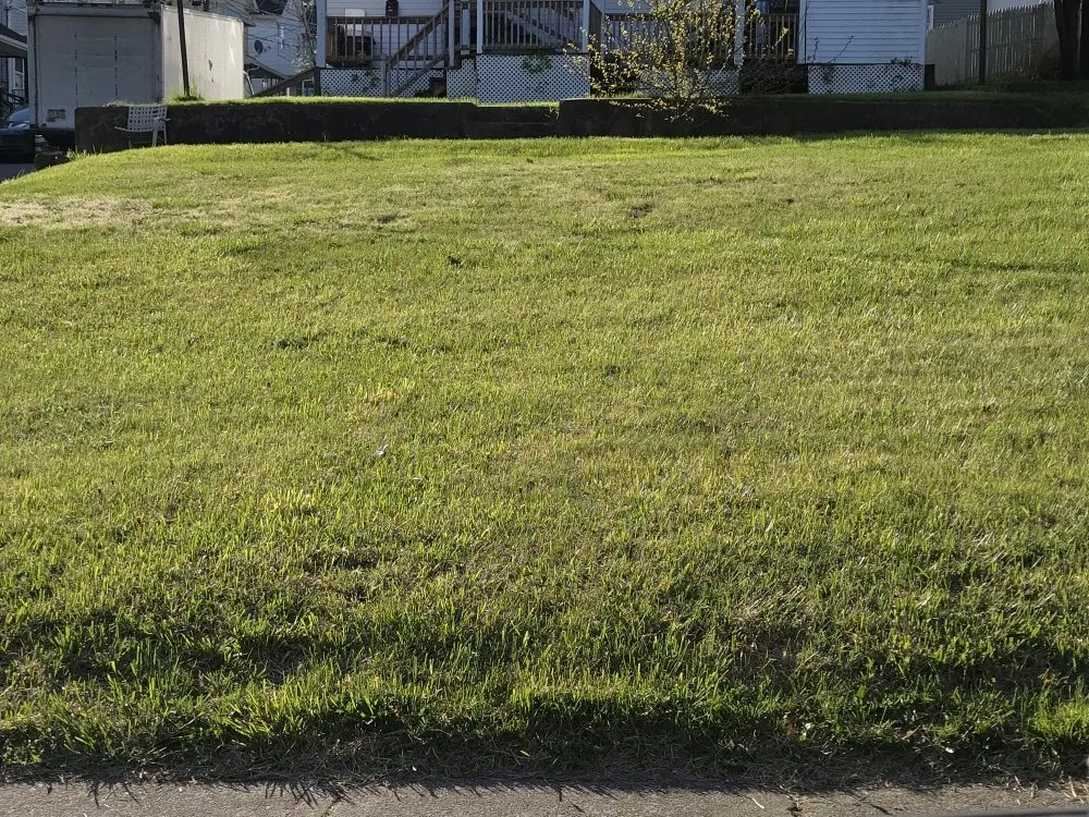 Custom landscape installation in Wilkes-Barre Township, PA by We Cut Grass