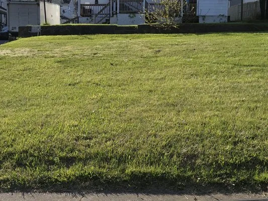 We Cut Grass