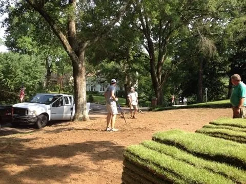 We Cut Lawn and Landscape