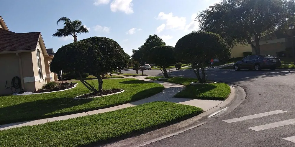 Reliable lawn care service in Orlando, FL - We Cut Lawncare and Maintenance