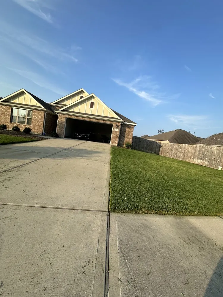 Expert yard cleanup service in Houston, TX - We Cutt Dat Lawn Care Services