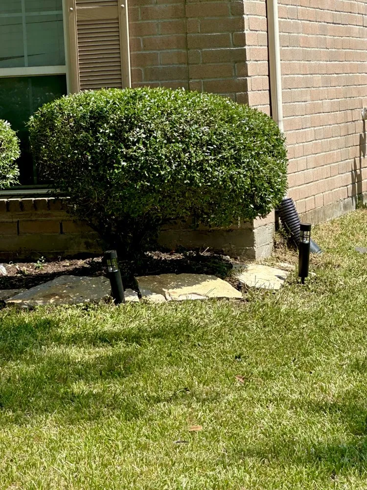 Expert landscape design for homes in Houston, TX by We Cutt Dat Lawn Care Services