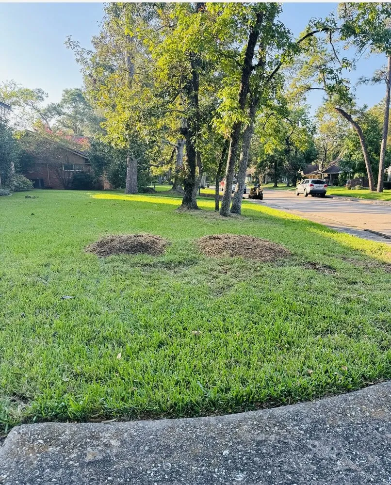 Professional outdoor landscaping for beautiful yards in Houston, TX by We Cutt Dat Lawn Care Services