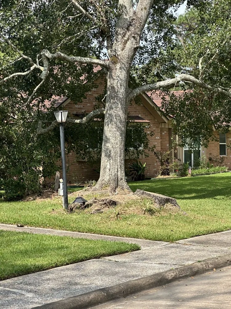 Professional landscaping services for year-round maintenance in Houston, TX by We Cutt Dat Lawn Care Services