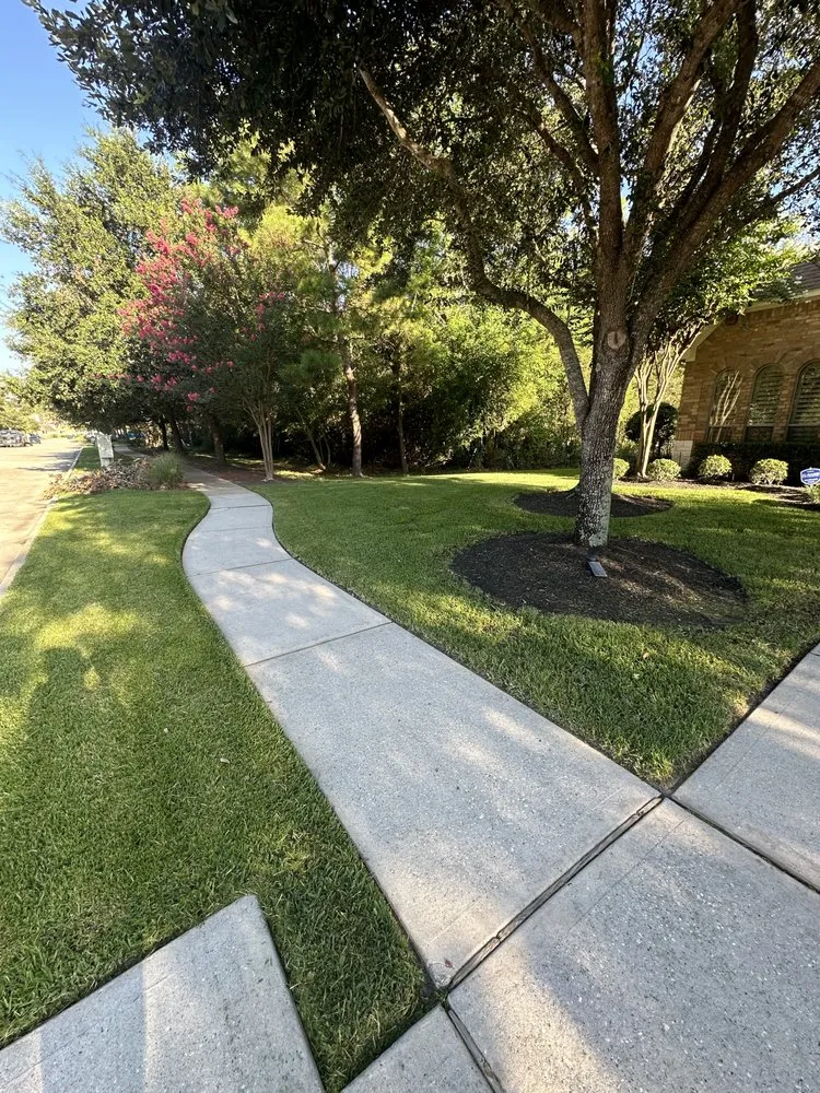 Expert yard cleanup service experts serving Houston, TX - We Cutt Dat Lawn Care Services