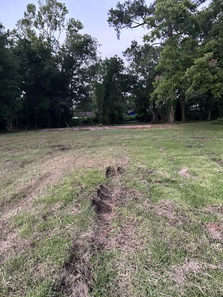 Professional residential landscaping for outdoor upgrades across Beaumont, TX - We Dem Boyz Lawn