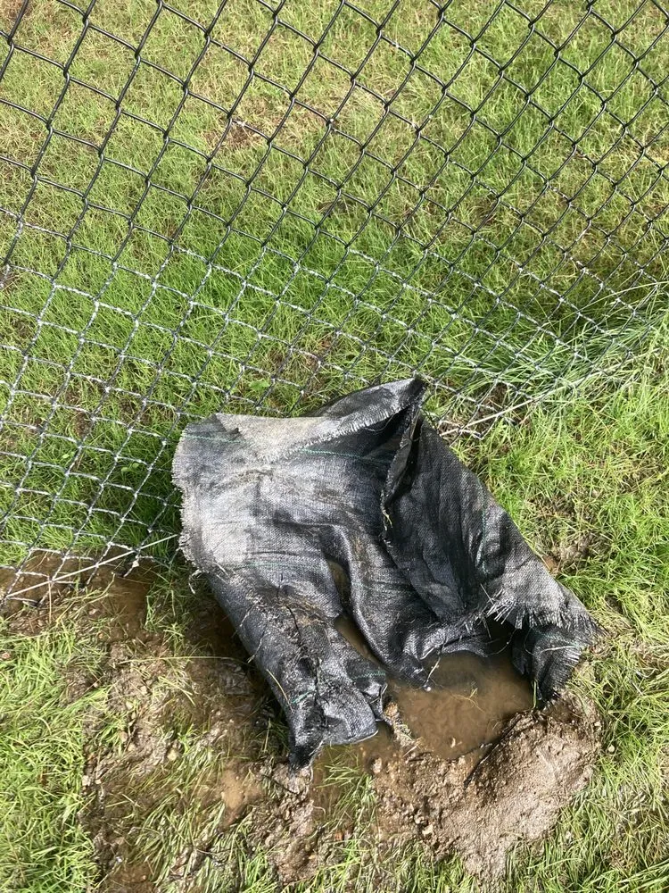 Professional lawn mowing service in Rochester, NH by We Dig it Excavating & Trucking