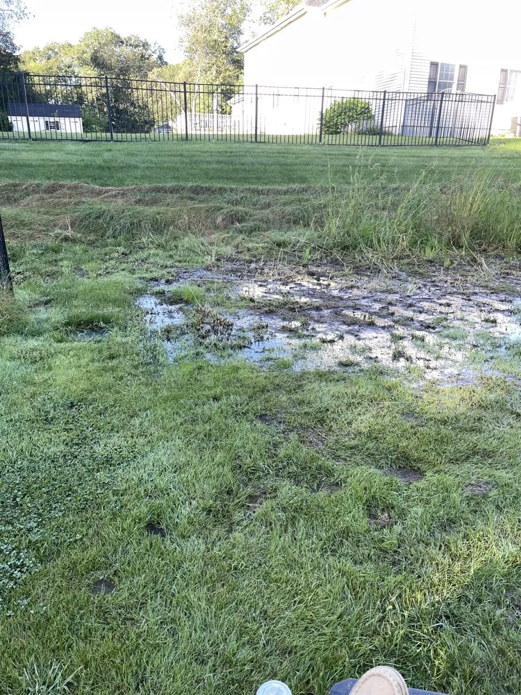 Reliable lawn care service near you in Rochester, NH by We Dig it Excavating & Trucking