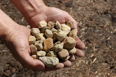 Affordable yard cleanup service in Rochester, NH by We Dig it Excavating & Trucking