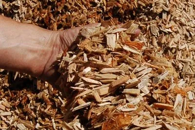 Reliable yard maintenance experts serving Rochester, NH - We Dig it Excavating & Trucking