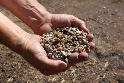 Local lawn care service near you in Rochester, NH by We Dig it Excavating & Trucking