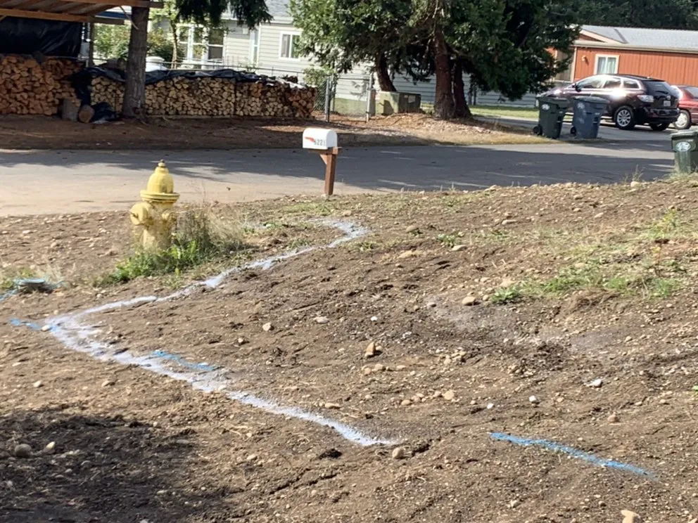 Local landscape design in Puyallup, WA - We do it 4 less