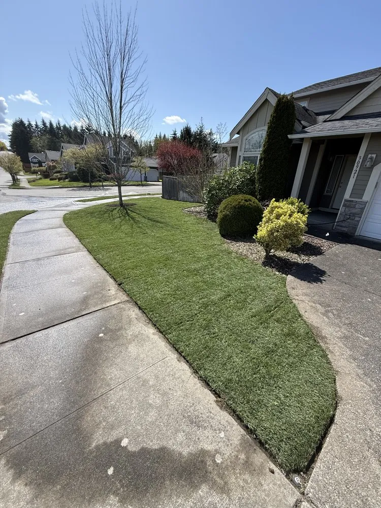 Custom yard cleanup service in Puyallup, WA - We do it 4 less