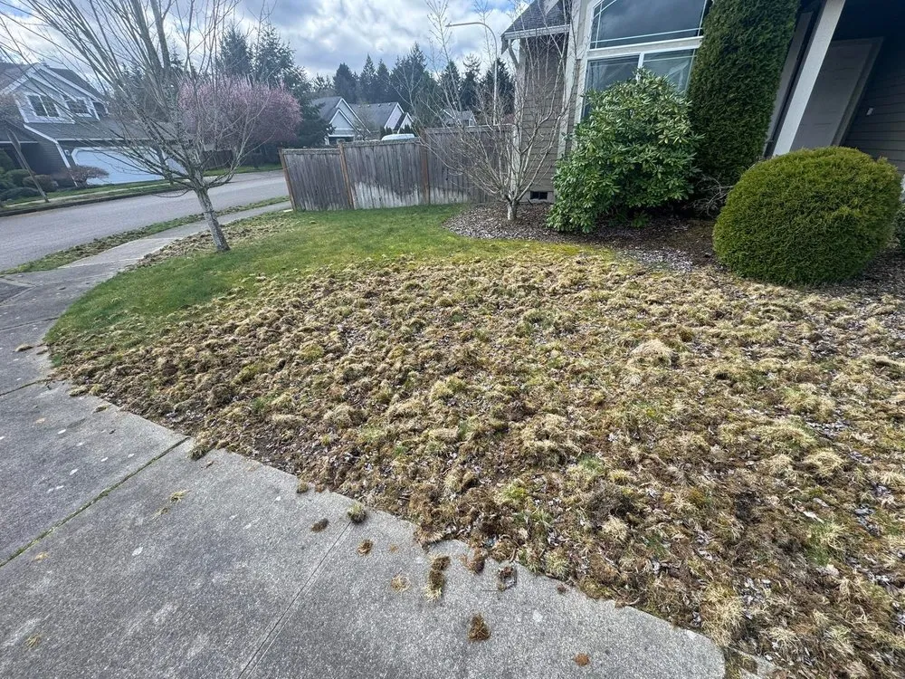 Professional outdoor landscaping near you in Puyallup, WA by We do it 4 less