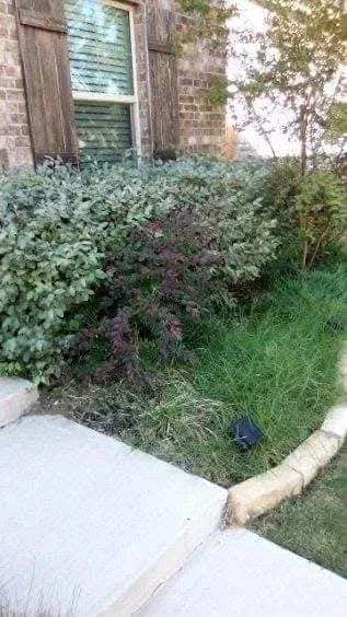 Top-rated garden landscaping experts serving Royse City, TX - We Do It All Lawn Care
