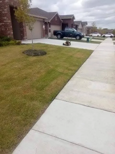 Reliable yard cleanup service for residential properties in Royse City, TX by We Do It All Lawn Care